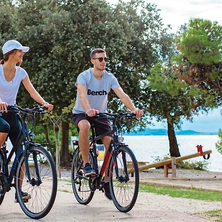 Pinija Petrcane